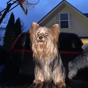 Meet your Posher, Ethan